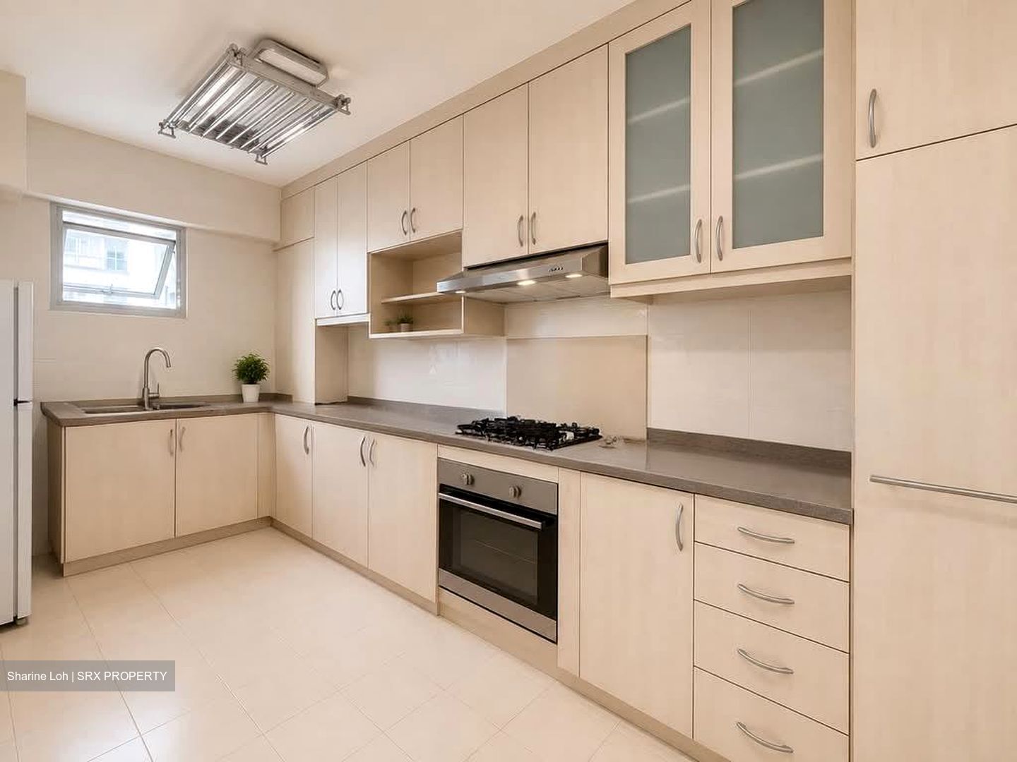 Blk 116 Edgefield Plains (Punggol), HDB 5 Rooms #597231271